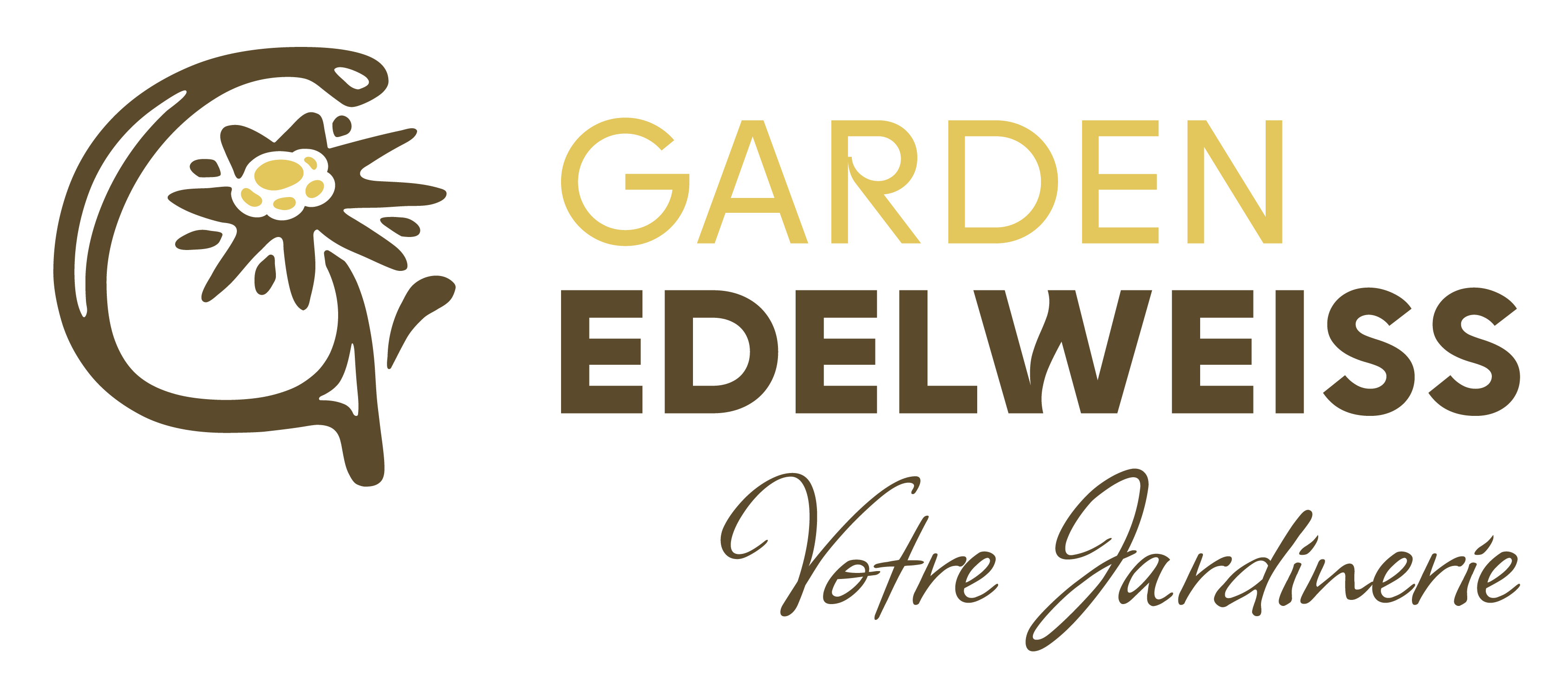 Garden Edelweiss